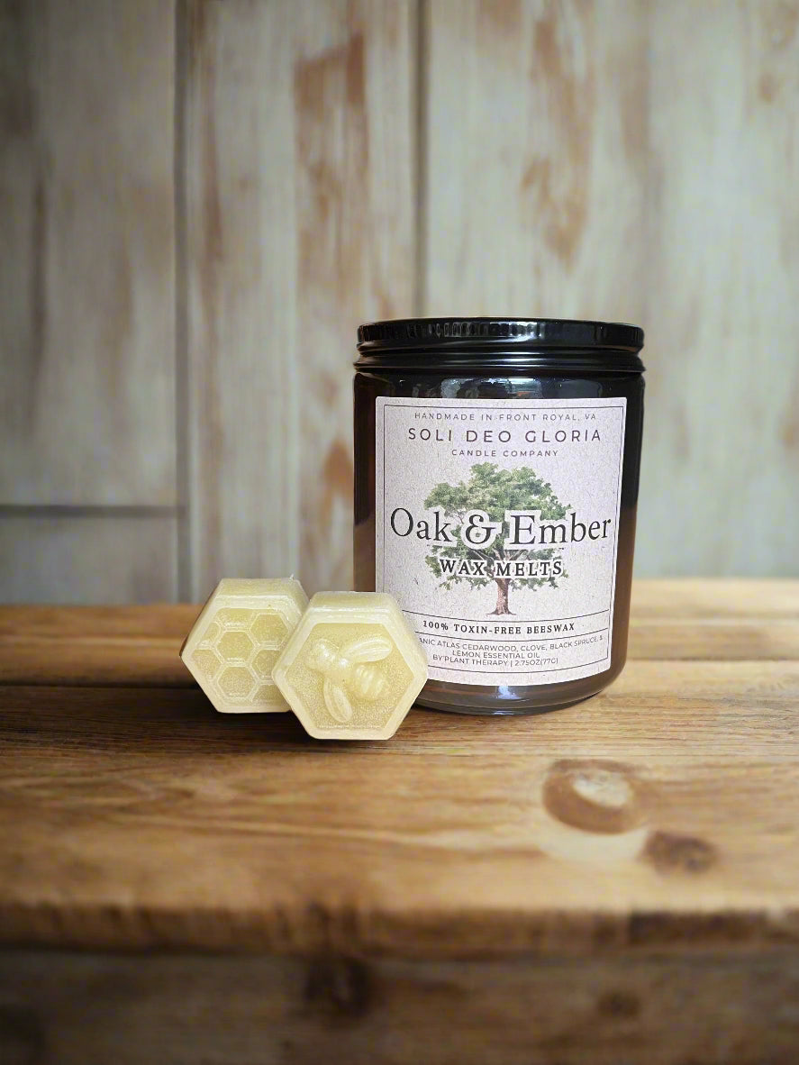 Still Warm | Beeswax Wax Melts